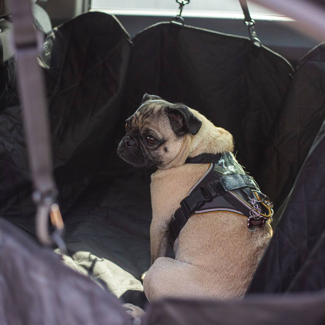 MrFluffyFriend - Dog Car Seat Cover