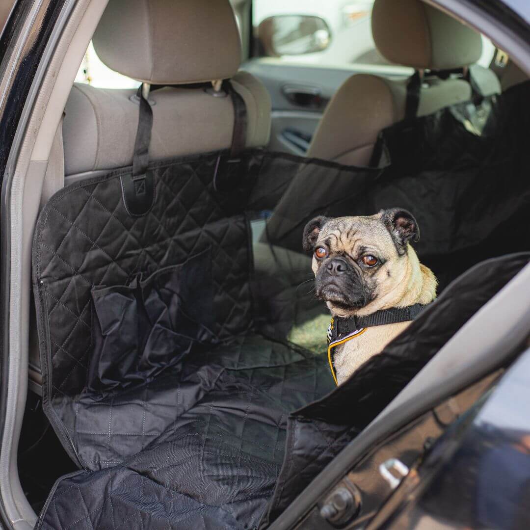 MrFluffyFriend - Car Seat Cover for Dogs