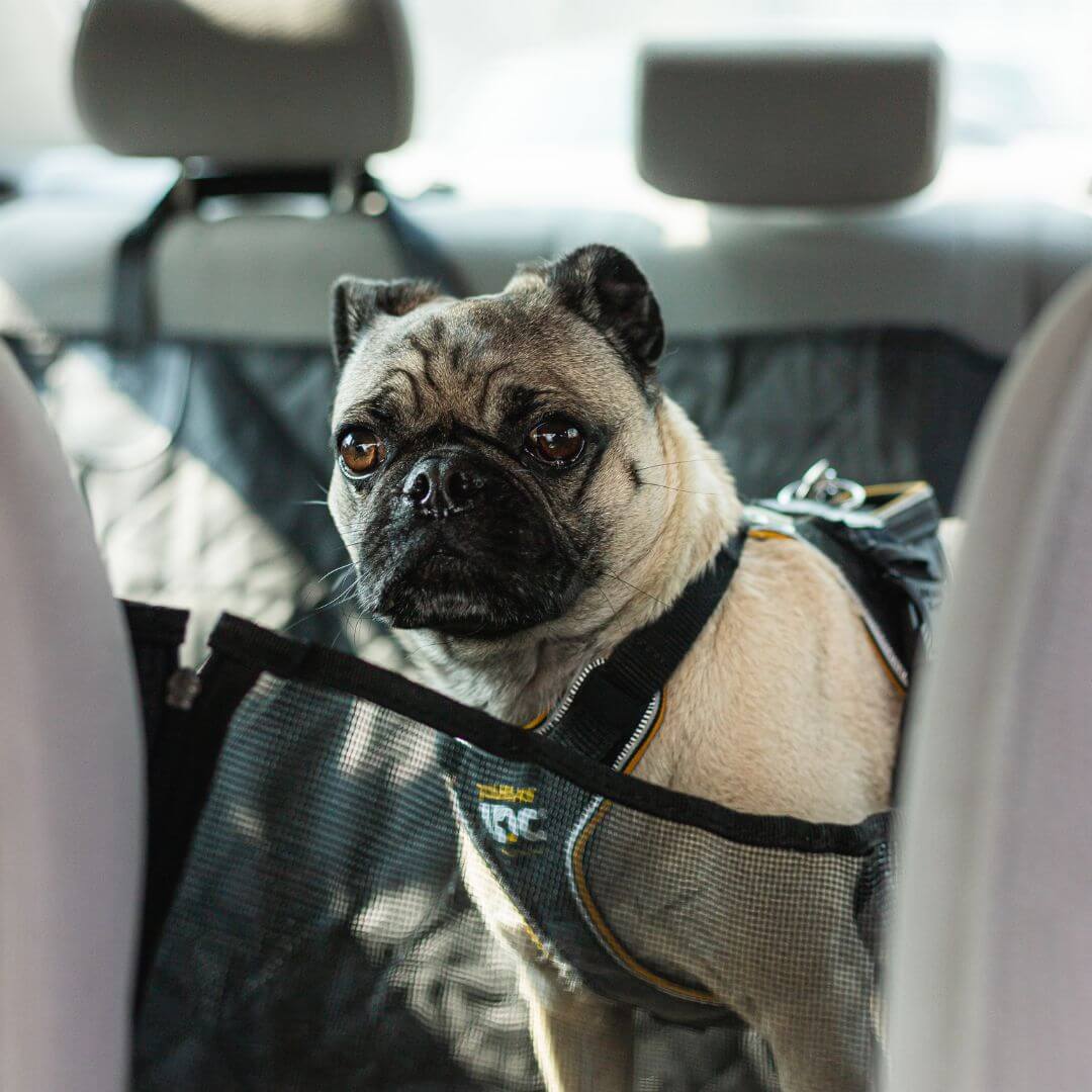 MrFluffyFriend - Car Seat Cover for Dogs