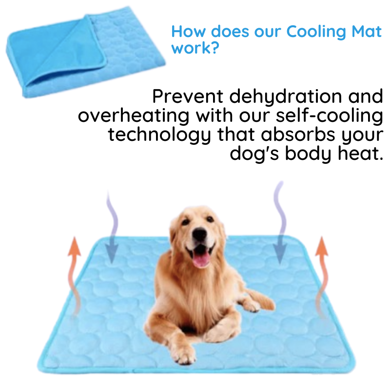 MrFluffyFriend - Dog Cooling Blanket