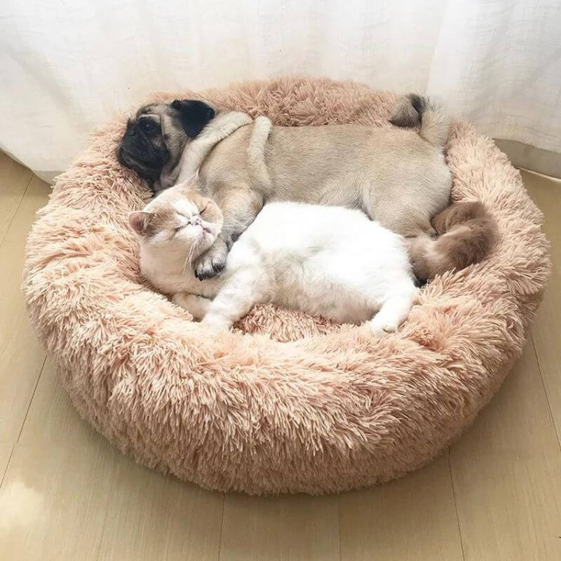 MrFluffyFriend - Best Cat Beds for Anxiety Relief