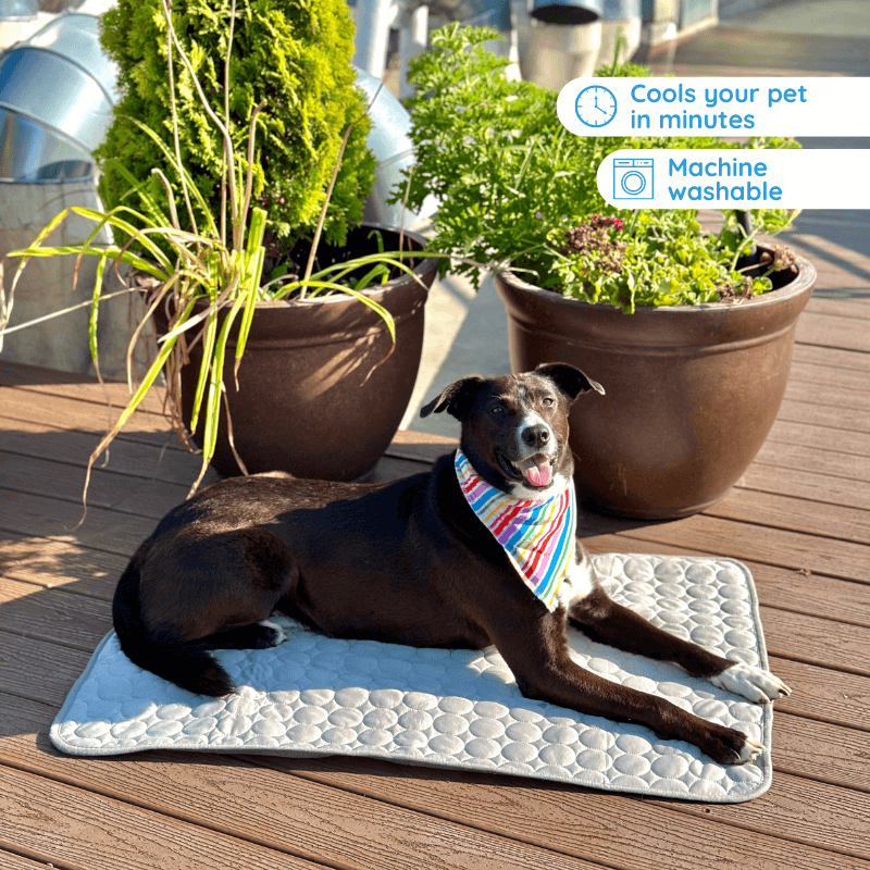 MrFluffyFriend - Cooling Mat for Dogs