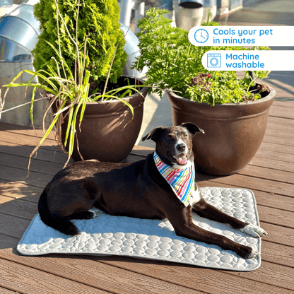 MrFluffyFriend - Cooling Mat for Dogs