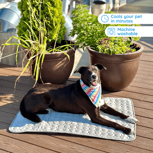 MrFluffyFriend - Cooling Mat for Dogs