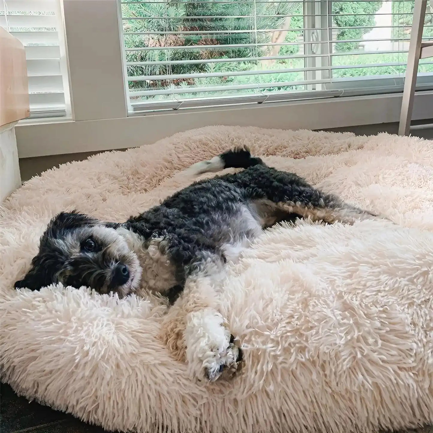 MrFluffyFriend - Premium Anxiety Relieving Dog Bed
