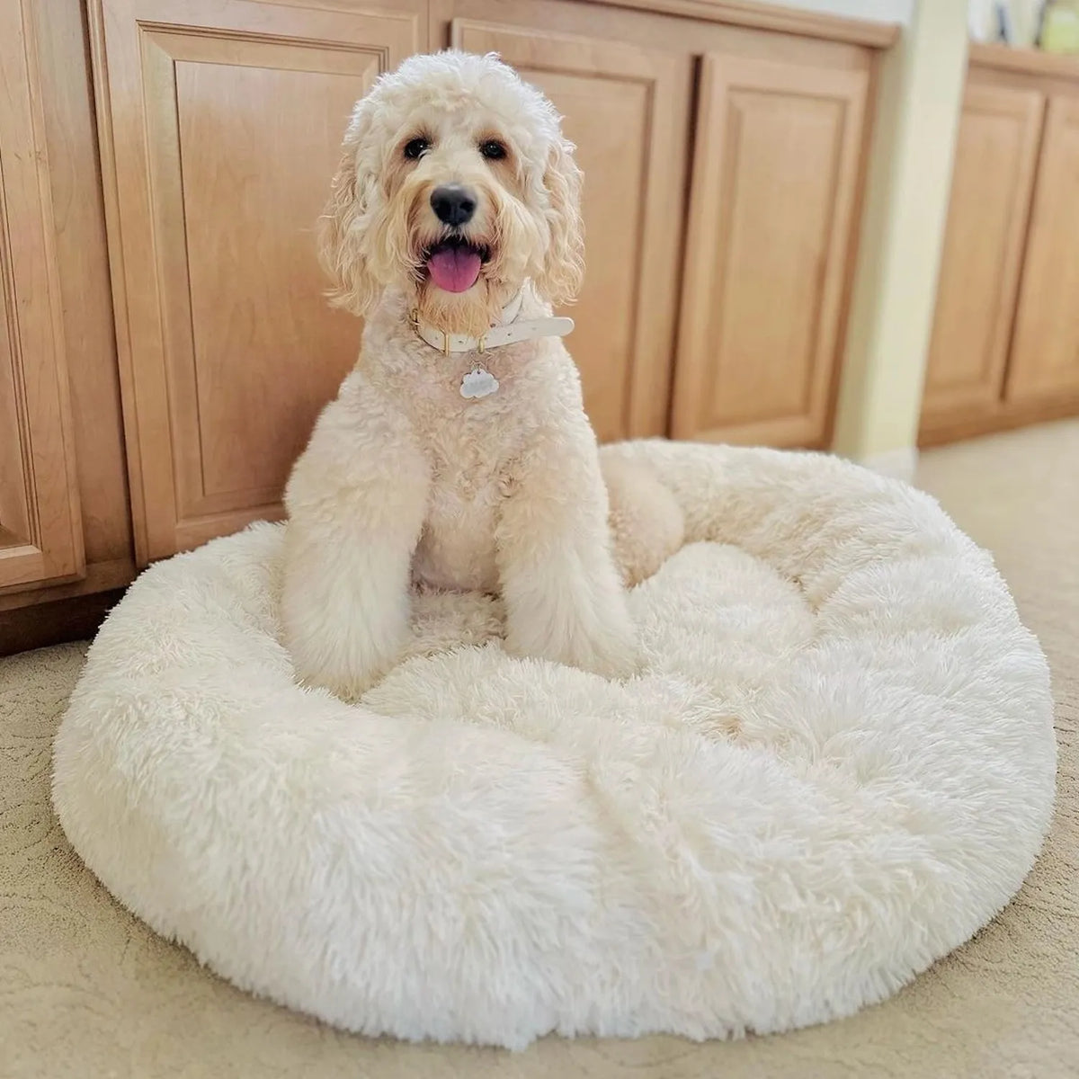 MrFluffyFriend - White Dog Bed