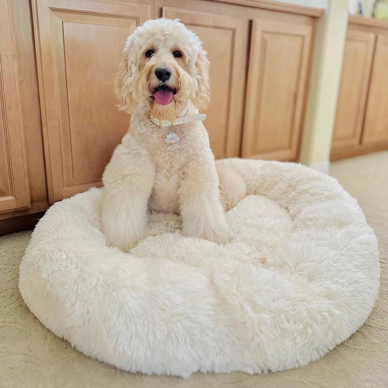 MrFluffyFriend - White Dog Bed