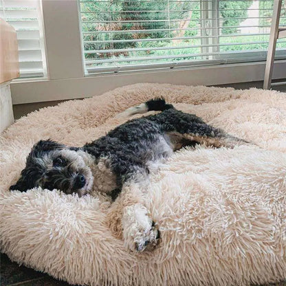 MrFluffyFriend - Premium Anxiety Relieving Dog Bed