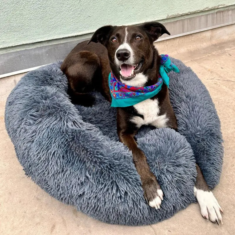MrFluffyFriend - Dark Grey Anxiety Relieving Dog Bed