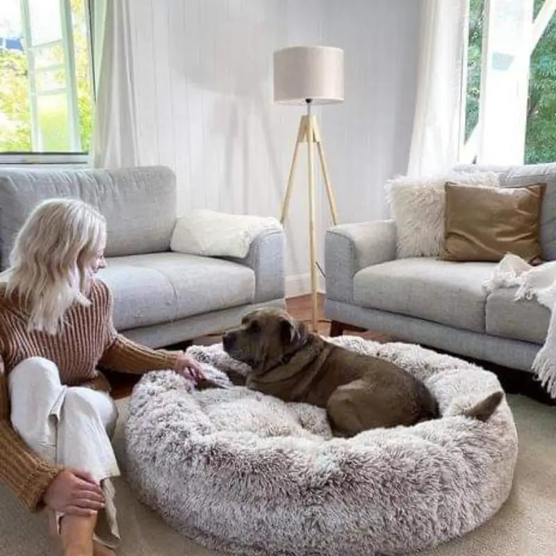 Anxiety-free Dog Bed from MrFluffyFriend