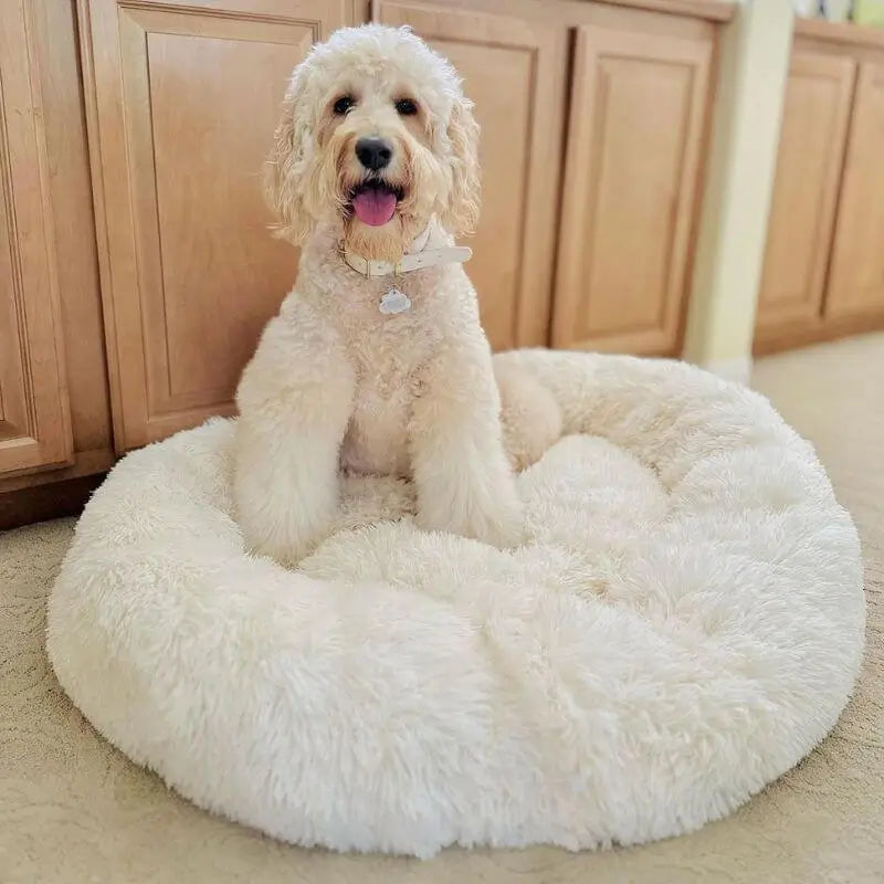 MrFluffyFriend - White Dog Bed