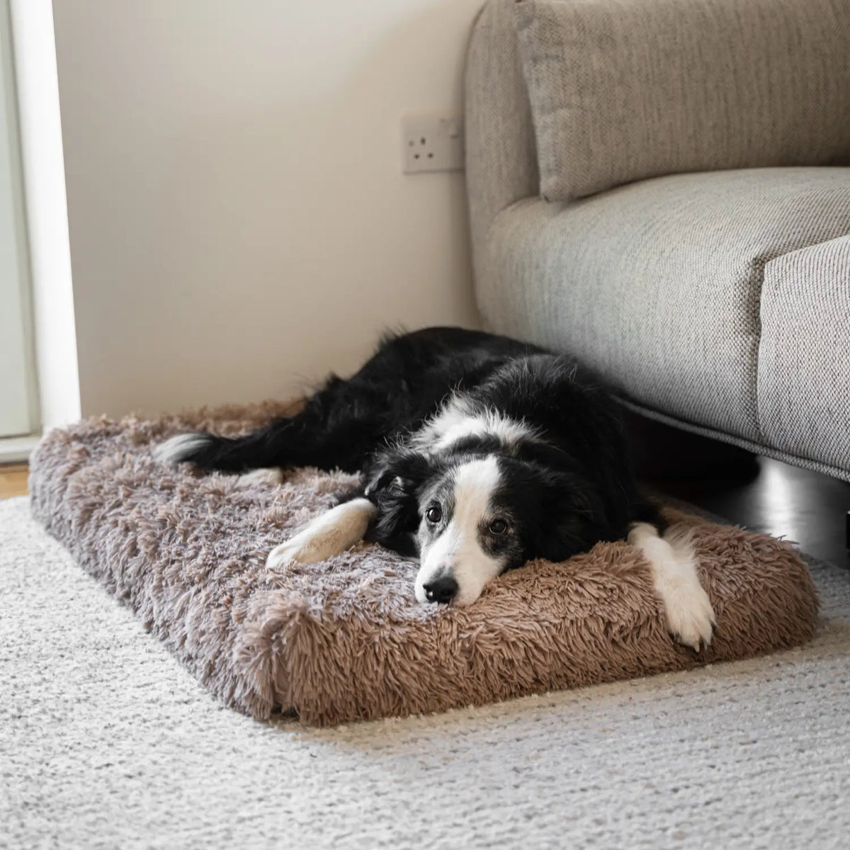MrFluffyFriend - Best Orthopedic Dog Pillow