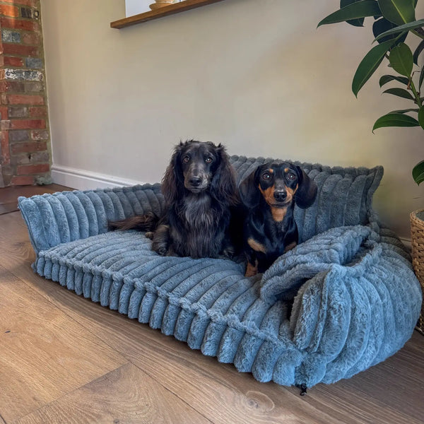The dog sofa so beautiful, guests ask where you got it
