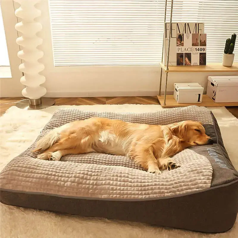 Best Anxiety Relieving Dog Cushion