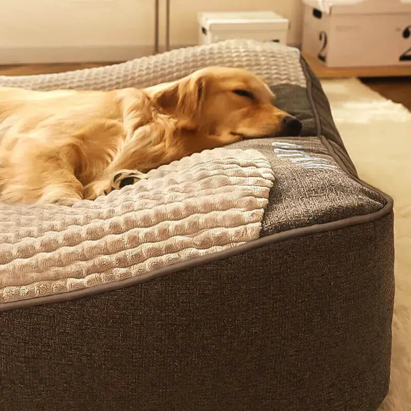 Best Comfortable Cushion for Dogs from MrFluffyFriend