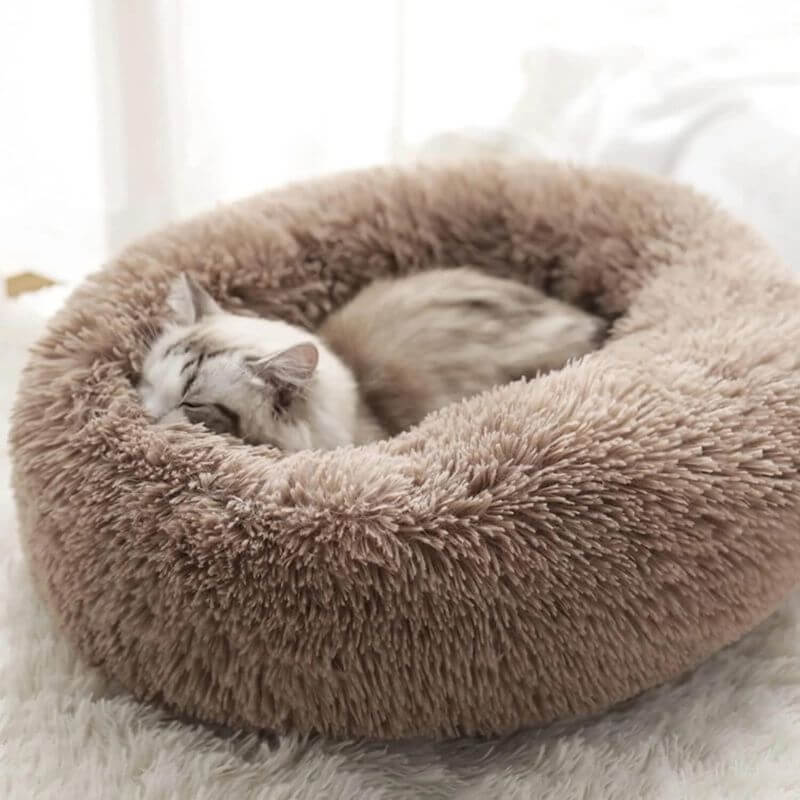 MrFluffyFriend - Best Cat Beds for Anxiety Relief
