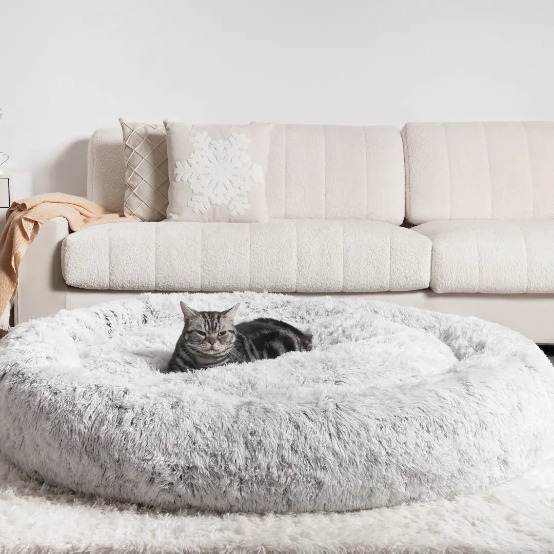 MrFluffyFriend - Best Therapeutic Cat Bed
