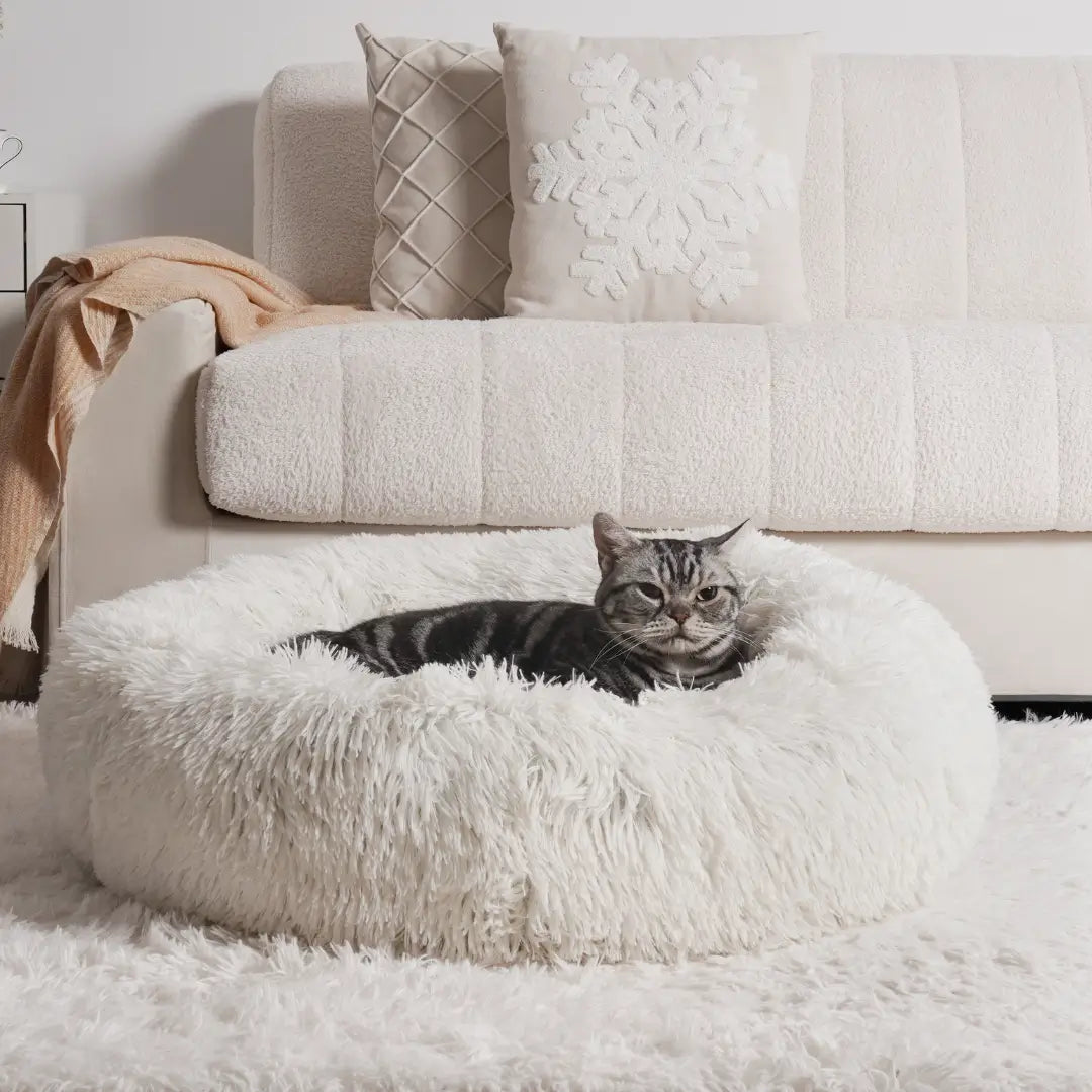 MrFluffyFriend - Best Anxiety-Free Cat Bed