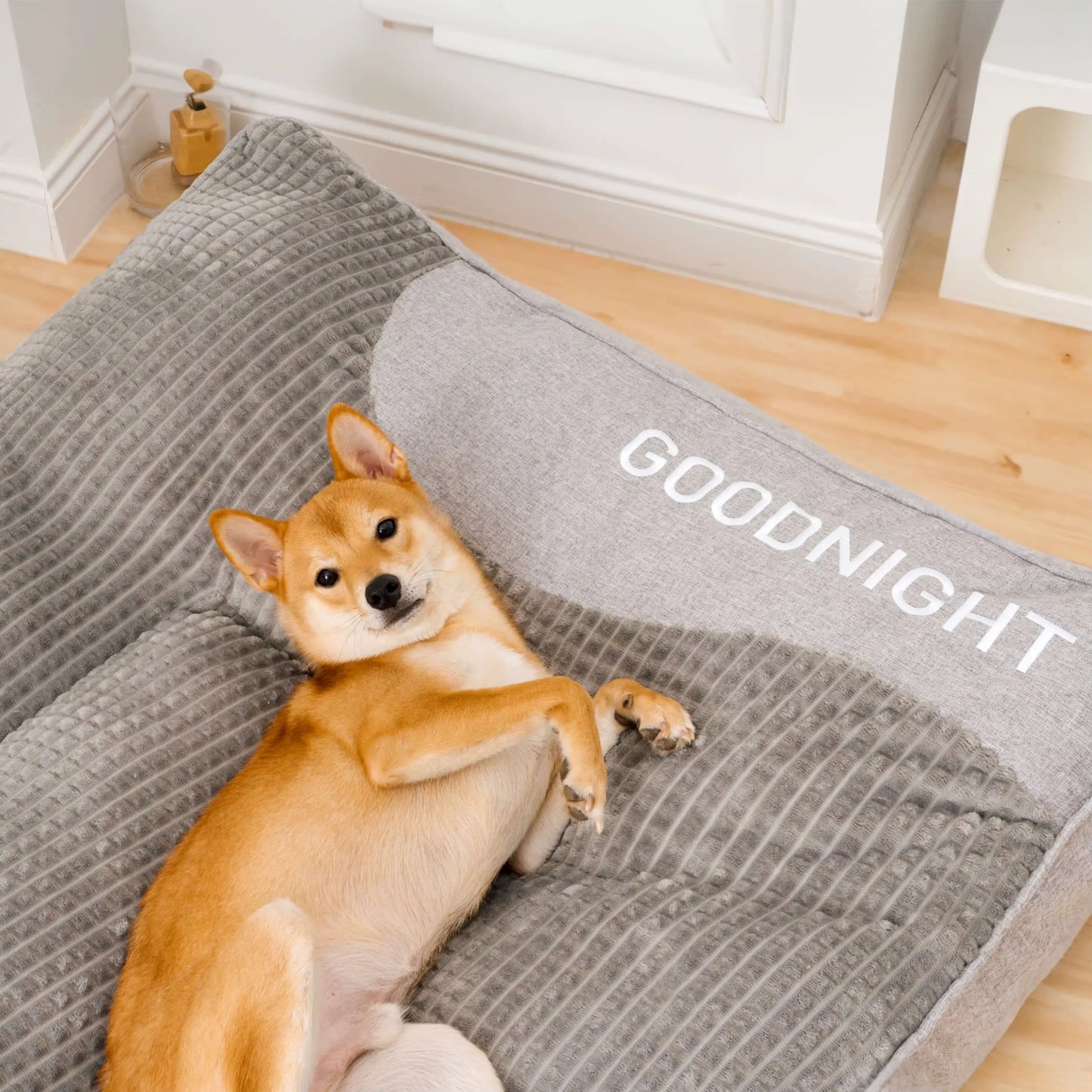 MrFluffyFriend - Best Cushion for Different Dog Breeds