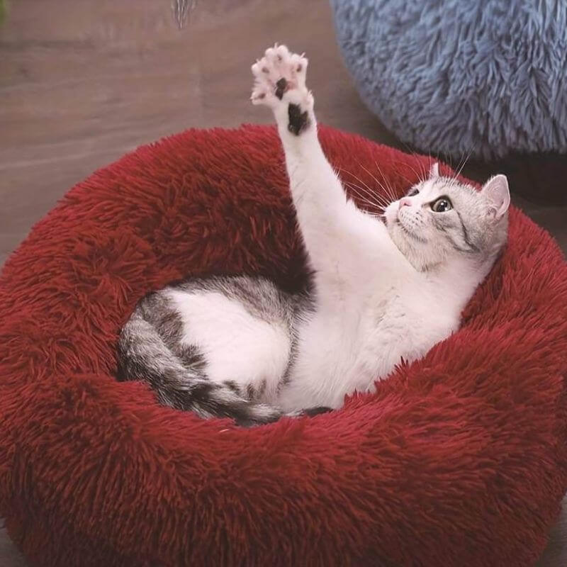 MrFluffyFriend - Best Cat Beds for Anxiety Relief