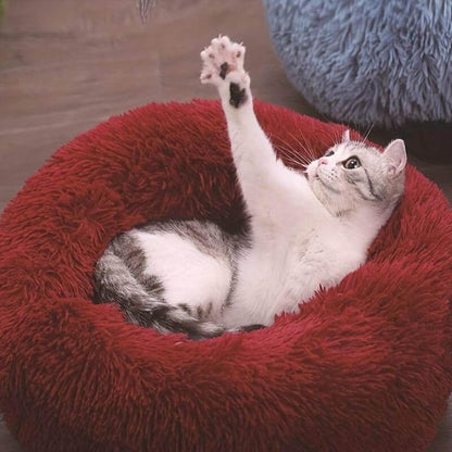 MrFluffyFriend - Best Cat Beds for Anxiety Relief