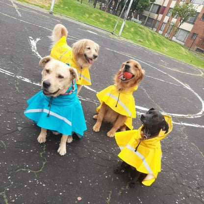 MrFluffyFriend - Best Reflective Dog Raincoat